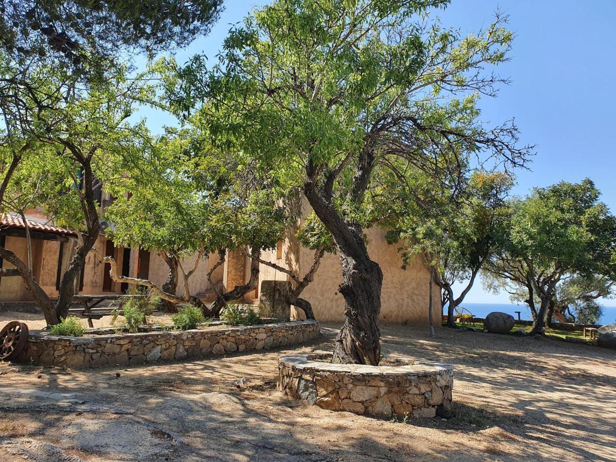 La Bergerie Hotel LʼÎle-Rousse Eksteriør billede