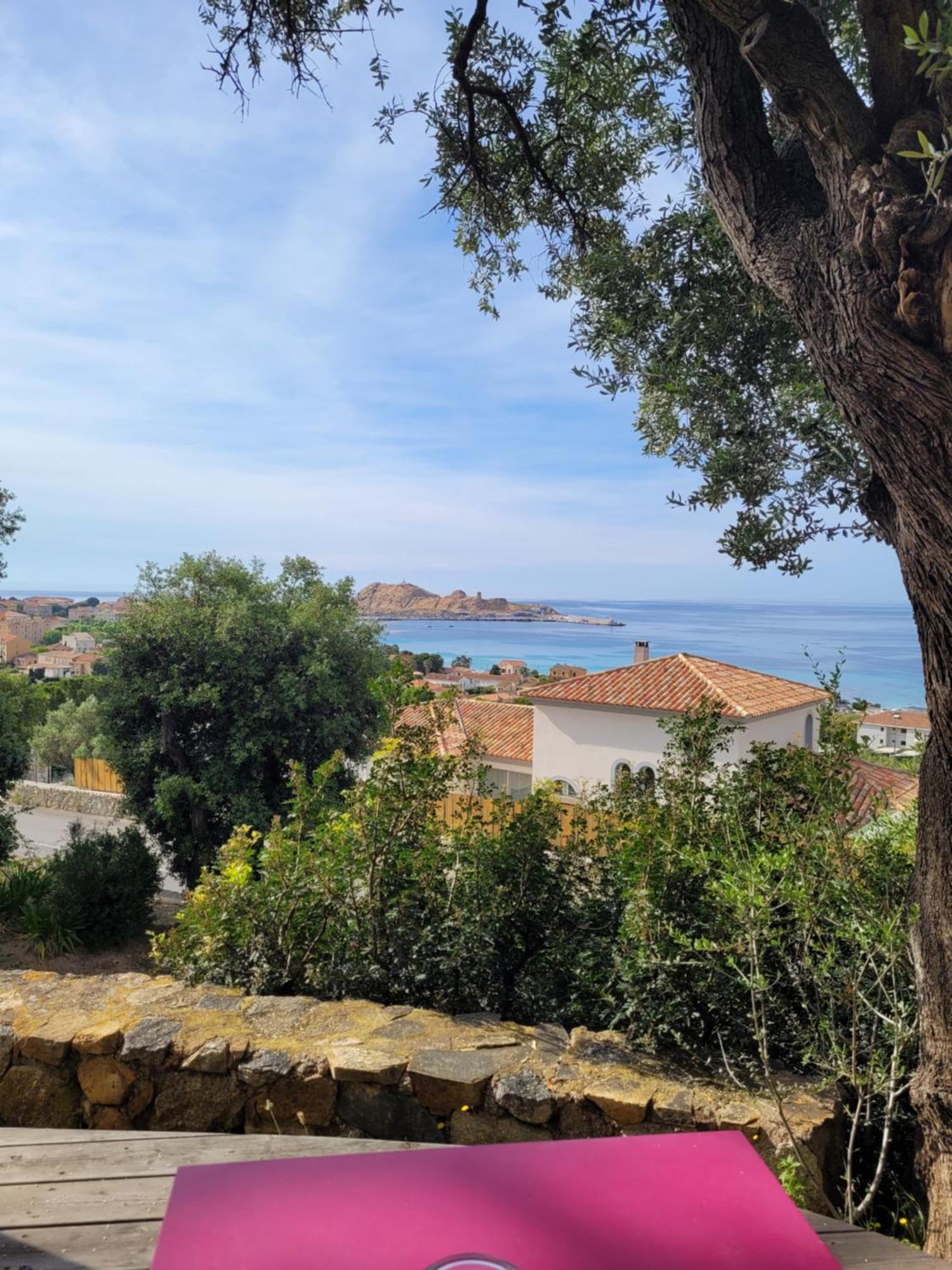La Bergerie Hotel LʼÎle-Rousse Eksteriør billede